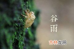 2020庚子年谷雨出生男孩五行缺水叫雨可以吗？