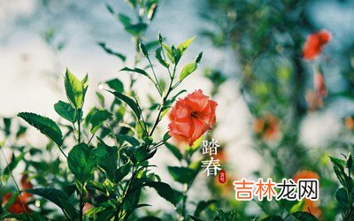 适合2020清明出生缺水男孩的好名字有哪些？