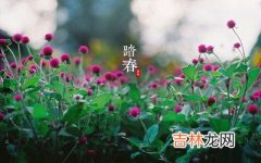 2020清明节是农历几月几日？属鼠清明节出生起名