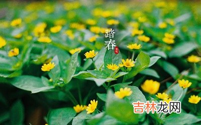 2020清明节是农历几月几日？属鼠清明节出生起名