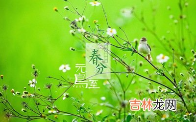 春分是什么意思？生肖羊年春分节气出生的人命运好不好？