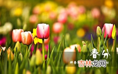 为什么春分竖蛋？属马的人春分节气出生命运怎么样？