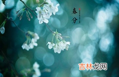 为什么春分竖蛋？属马的人春分节气出生命运怎么样？