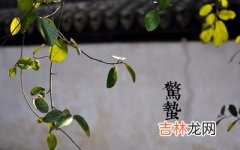 惊蛰节气计算方法，生肖属蛇的人惊蛰节气出生好吗？