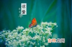 2020年惊蛰节气财神方位，属鼠的人惊蛰出生命运好不好？