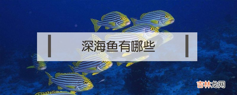 深海鱼有哪些？