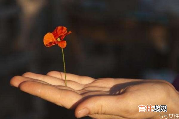 婚姻只需要爱情吗？ 维持婚姻的元素有什么