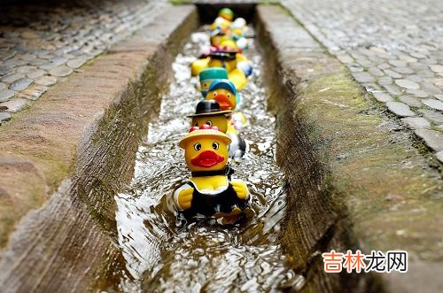 2020年最旺巨蟹的星座,白羊天秤作用最大
