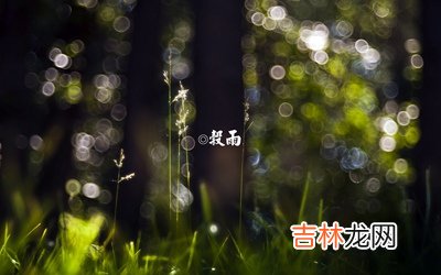 2020年谷雨出生八字五行缺土女孩名字最好有哪些字？