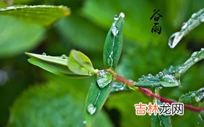 带雨字适合2020谷雨出生的女孩的好名字推荐