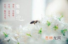 2020年惊蛰时辰吉凶，属虎的人惊蛰节气出生命运怎么样？