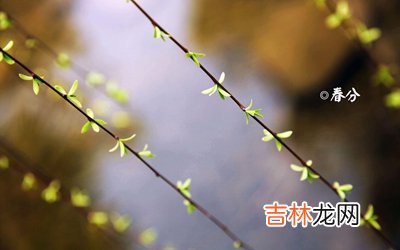 出生在春分节气的属鸡人是什么样的命运？