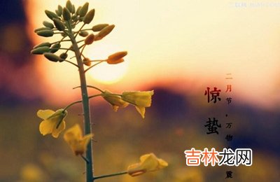 惊蛰有什么禁忌？生肖兔出生在惊蛰节气命运怎么样？