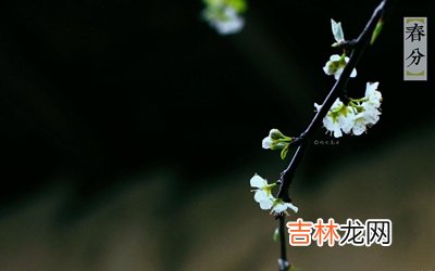 属蛇的人春分节气出生命运如何？关于春分的谚语有哪些