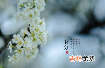 属虎的人春分节气出生命运怎样？春分习俗有哪些？