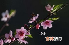 属虎的人春分节气出生命运怎样？春分习俗有哪些？