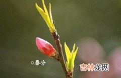 属鼠的人春分节气出生好吗？关于春分节气的记载