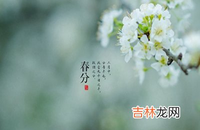 属兔的人春分节气出生好不好？有哪些关于春分的诗词？