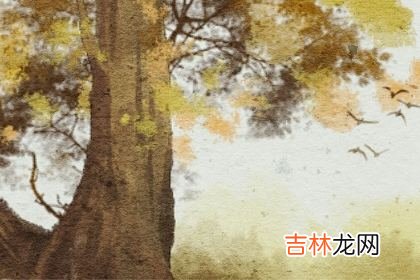 测测你如果当领导能不能服众