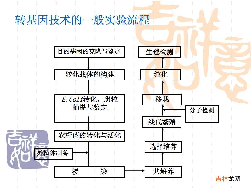 载体是什么意思造句 载体是什么意思