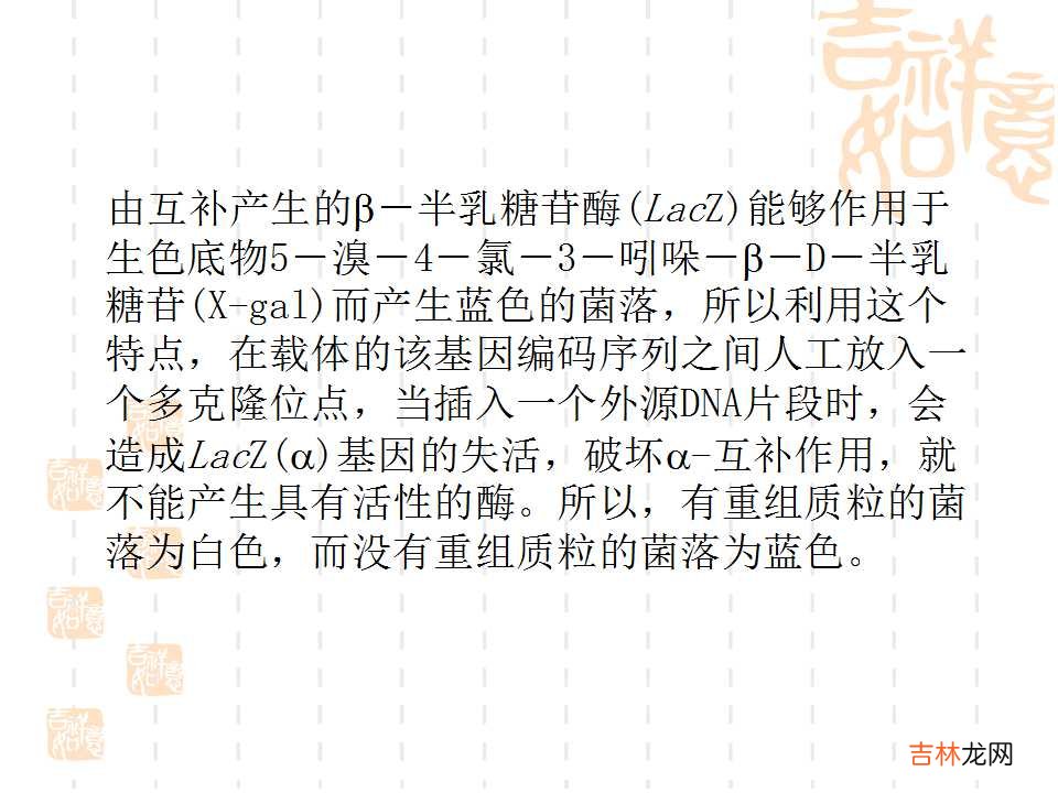 载体是什么意思造句 载体是什么意思