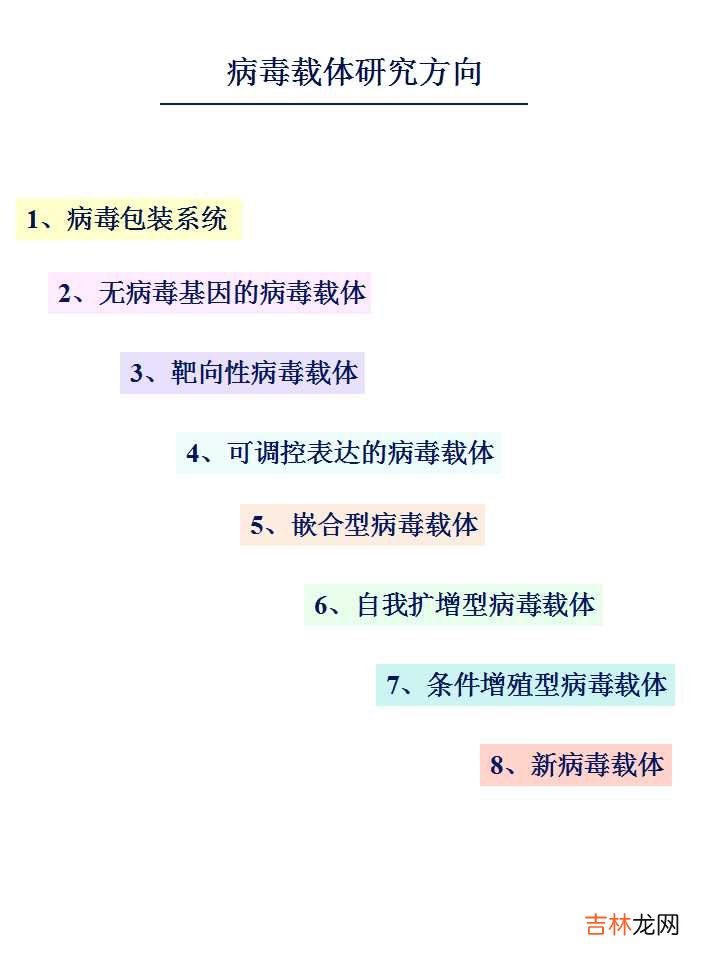 载体是什么意思造句 载体是什么意思