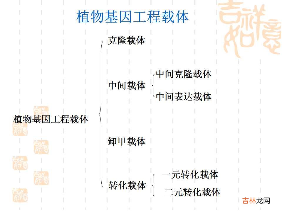 载体是什么意思造句 载体是什么意思