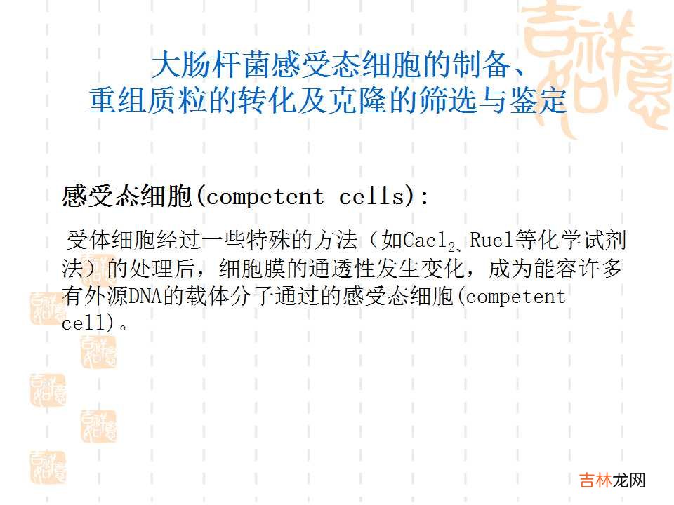 载体是什么意思造句 载体是什么意思