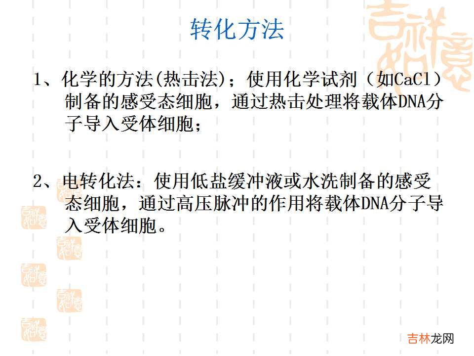 载体是什么意思造句 载体是什么意思