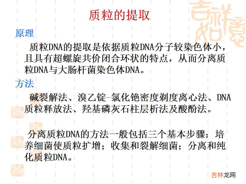 载体是什么意思造句 载体是什么意思