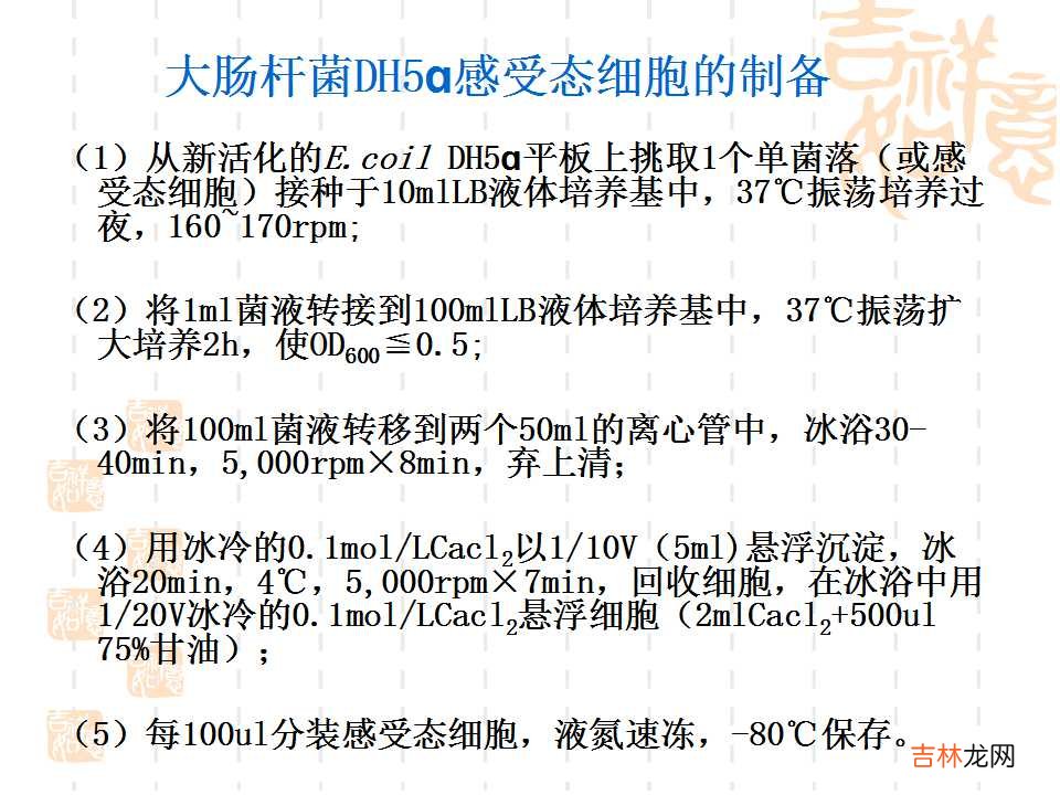 载体是什么意思造句 载体是什么意思