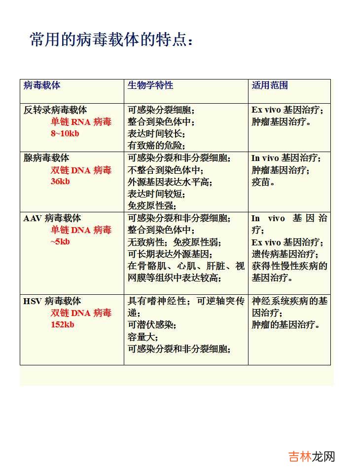 载体是什么意思造句 载体是什么意思