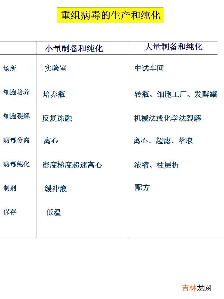 载体是什么意思造句 载体是什么意思