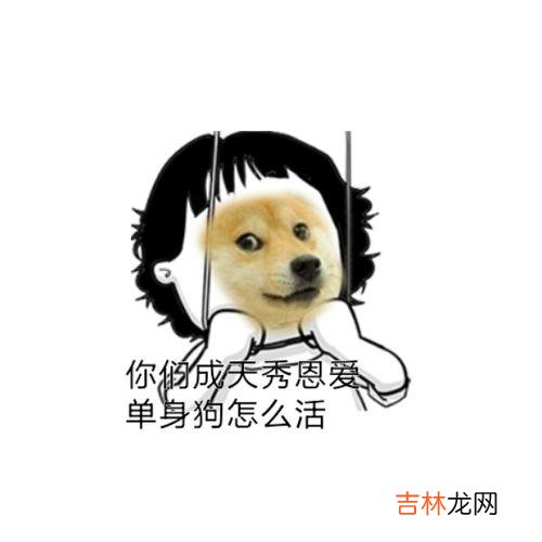 撒狗粮是什么梗