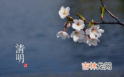 2020年清明节子时出生宝宝喜用神是什么怎么起名?
