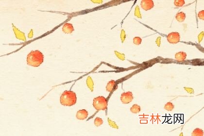 测测你人到中年的感情生活质量
