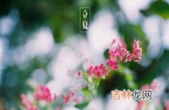 2020年立夏时间几点时刻？立夏出生的男孩取名大全