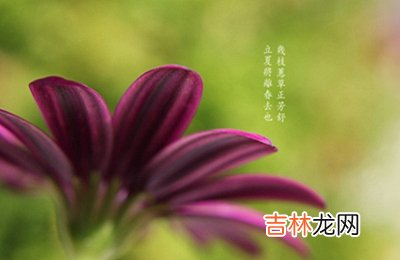 2020立夏是具体时辰是多少？立夏出生的女孩缺水名字起名