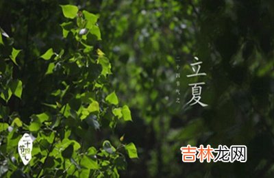 2020年立夏出生的女孩缺木取名大全文雅名字