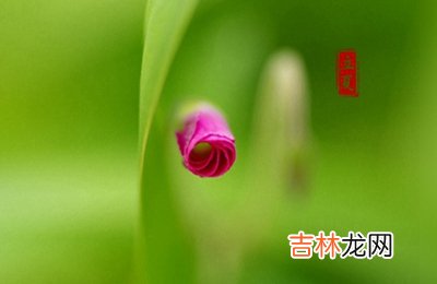 2020立夏是几点几分？2020年立夏出生的男孩缺水起名