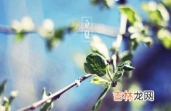 适合2020立夏出生的女孩带“夏”字的好名字