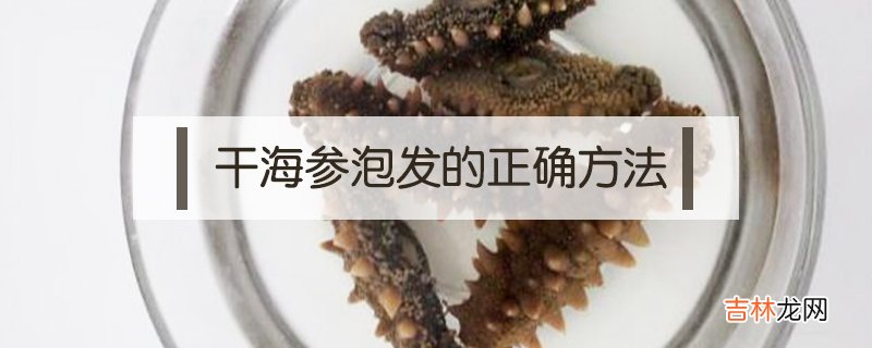 干海参泡发的正确方法