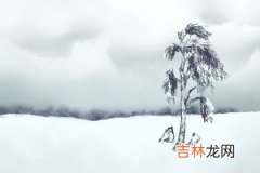 测你2021桃花多还是财运多