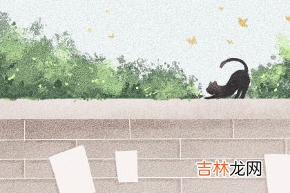 测你到中年能过上受人羡慕的生活吗