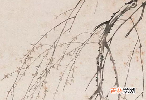 2020年农历四月出生的鼠宝宝起名大全