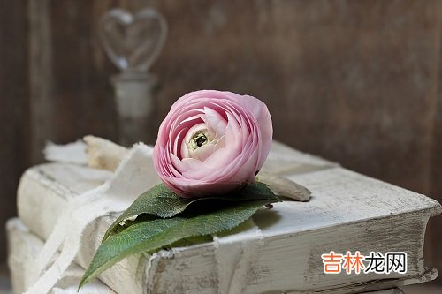 金牛座2020年水逆时间表,运势有什么表现