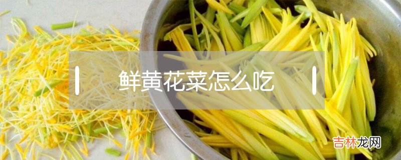 鲜黄花菜的吃法 鲜黄花菜怎么吃