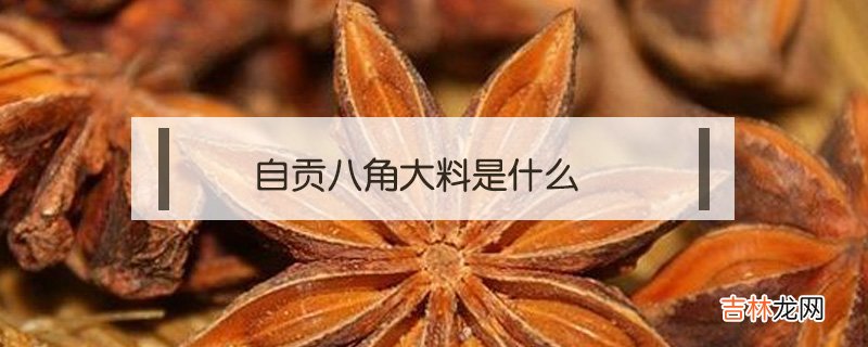 自贡八角大料是什么？