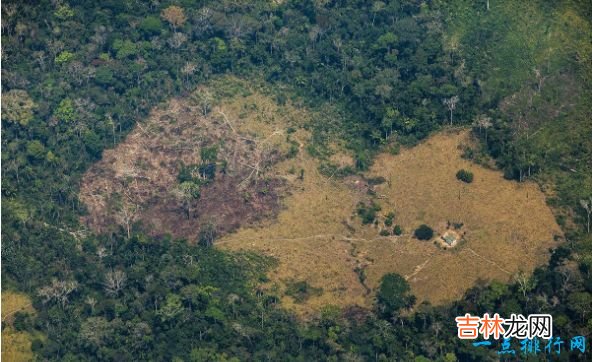 世界上最大的平原 560万平方公里的亚马孙平原