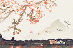 测测你对象向往的生活你能给吗